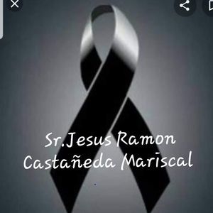 Meet your Posher, Carolyn